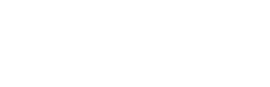 PPI-white-logo